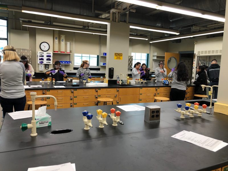 students working in a lab