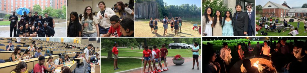bridge program collage