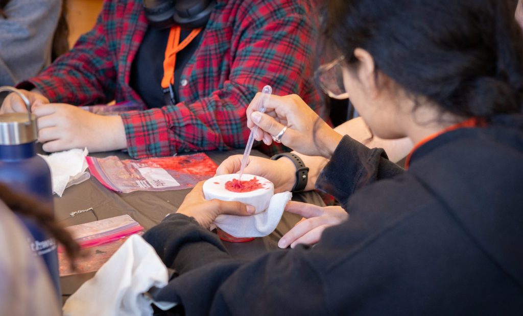A photo taken at the Multiply Your Options event in the Student Union Ballroom of an 8th grade student using a plastic pipette to spread red strawberry material over a filter for the Strawberry DNA actvity.