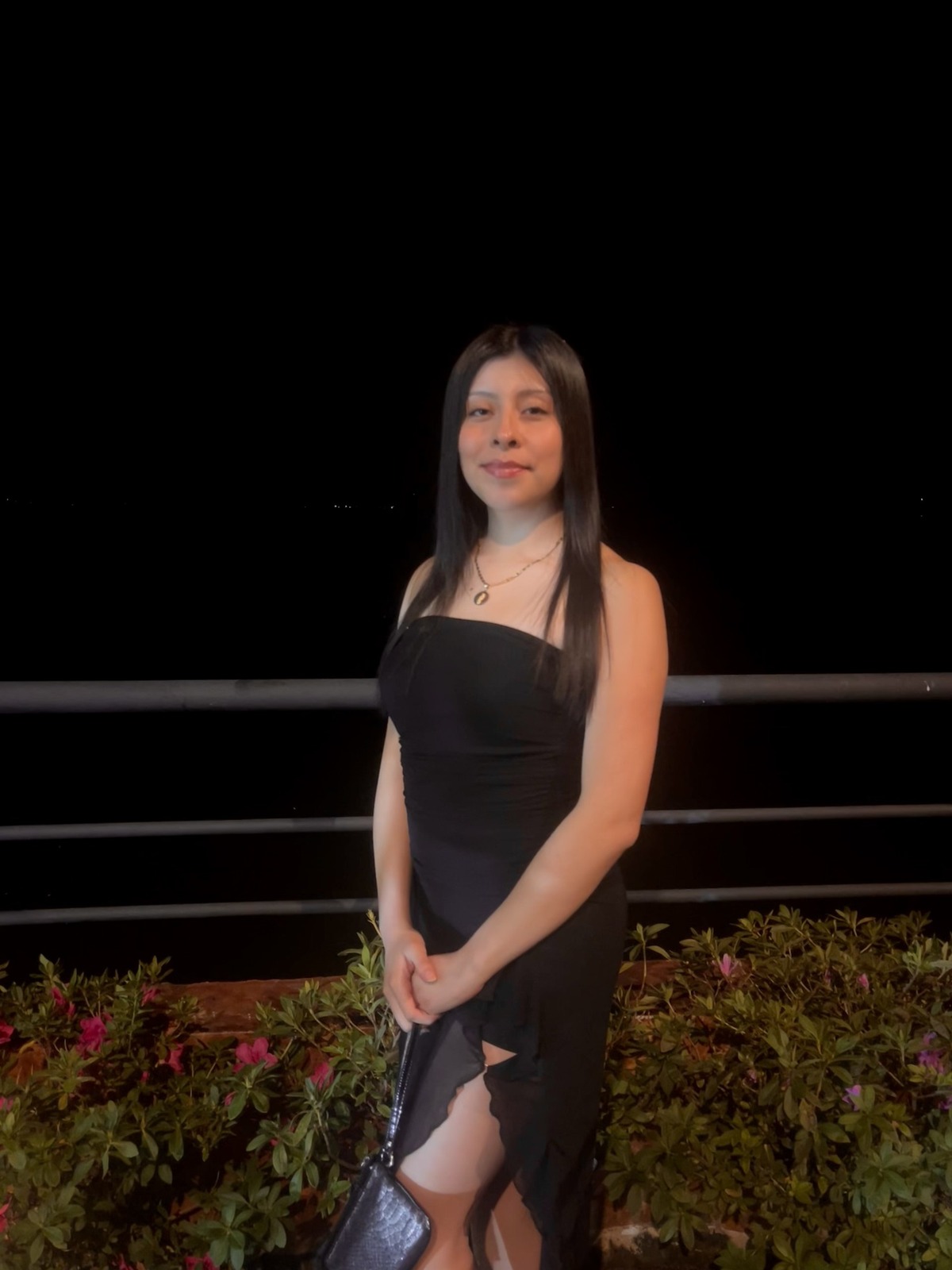A photo of Yelsi wearing a black dress and holding a black clutch purse taken at nighttime next to plants and a metal railing.